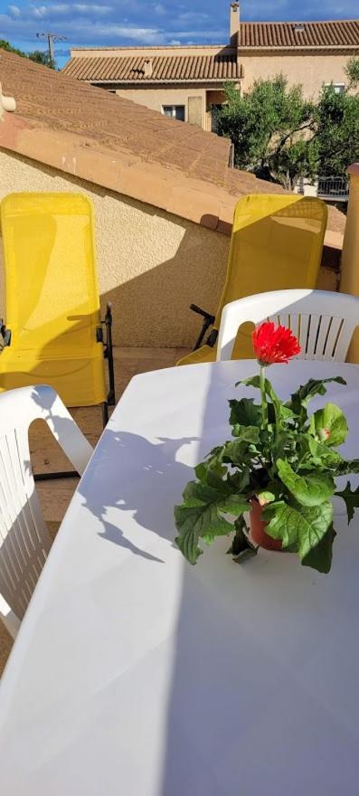 Appartement Agreable Et Spacieux Ensoleille Valros Eksteriør bilde